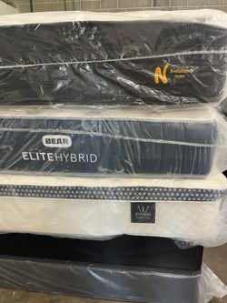 Queen Mattress Bear Elite & Nolah Evolution 