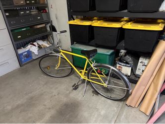 schwinn vintage Chicago