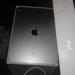 iPad 