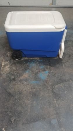 Igloo ice chest