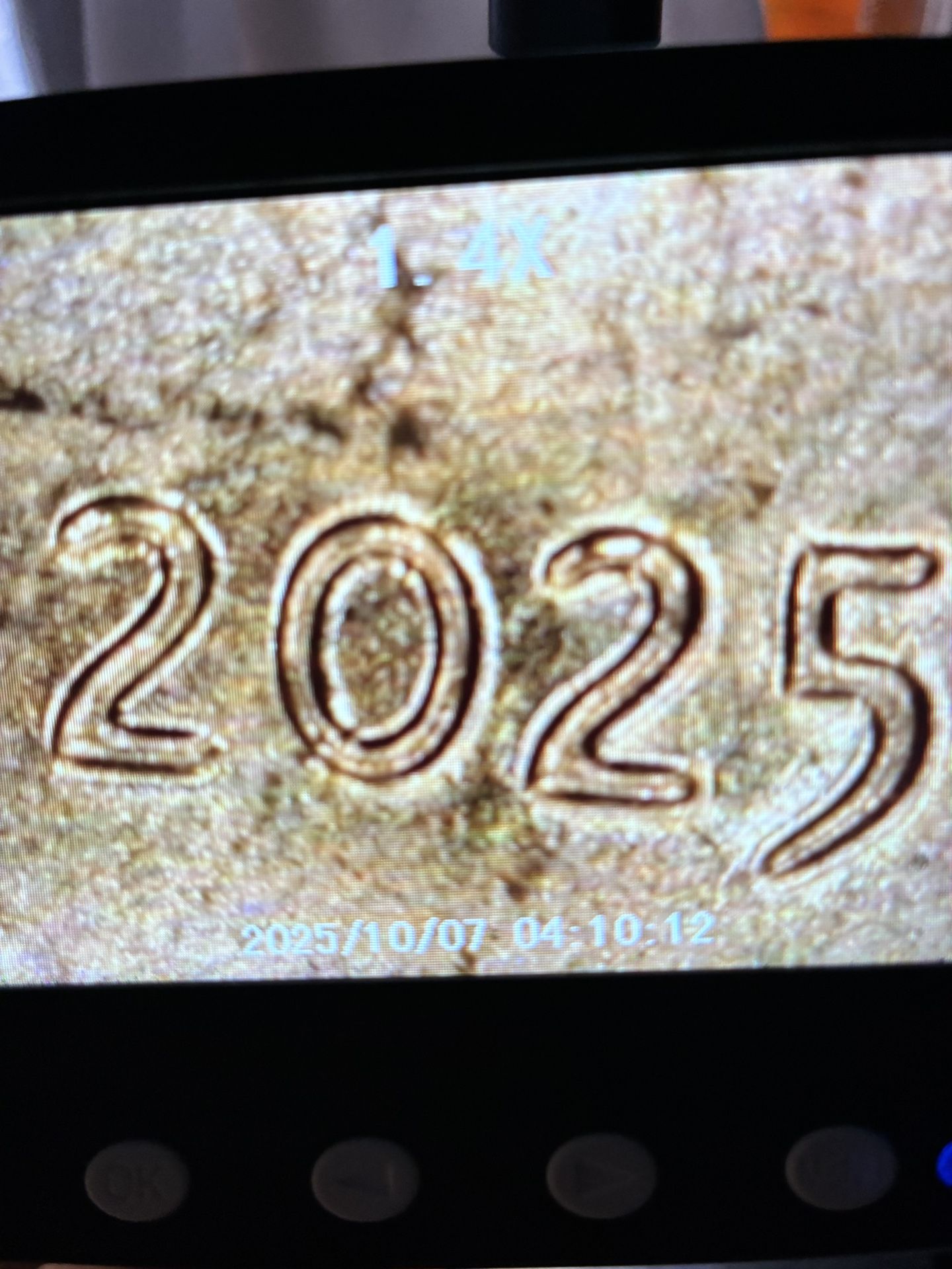 Coins 2025