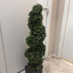 Faux Plant