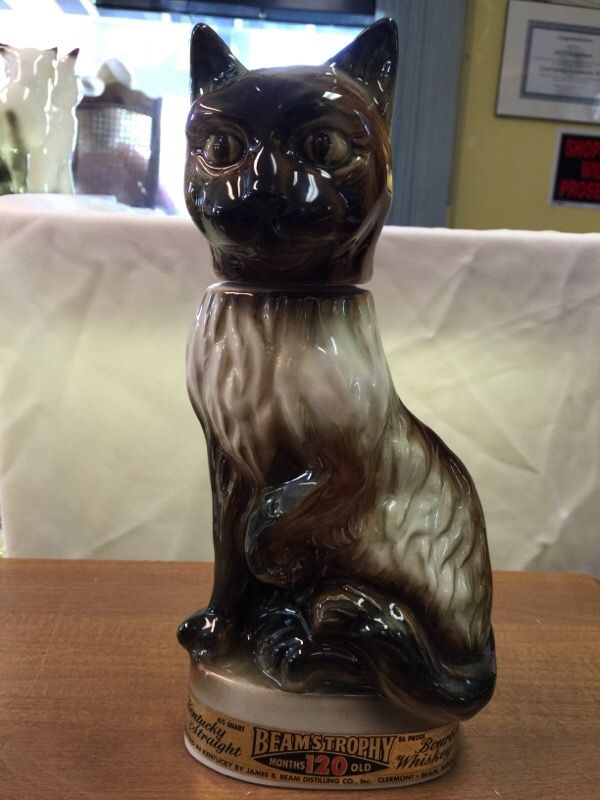 Beam's trophy cat