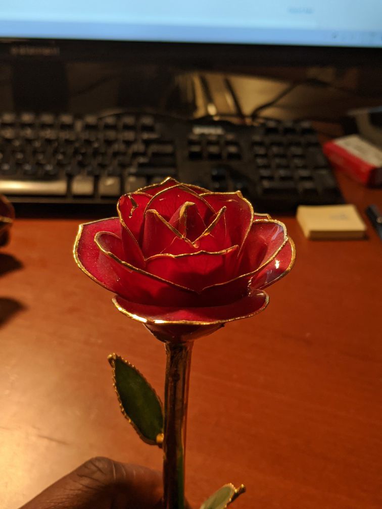 Real gold dipped red rose!