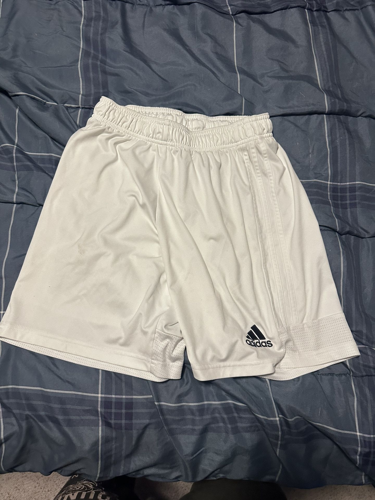 Adidas Shorts