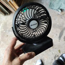 Fan
