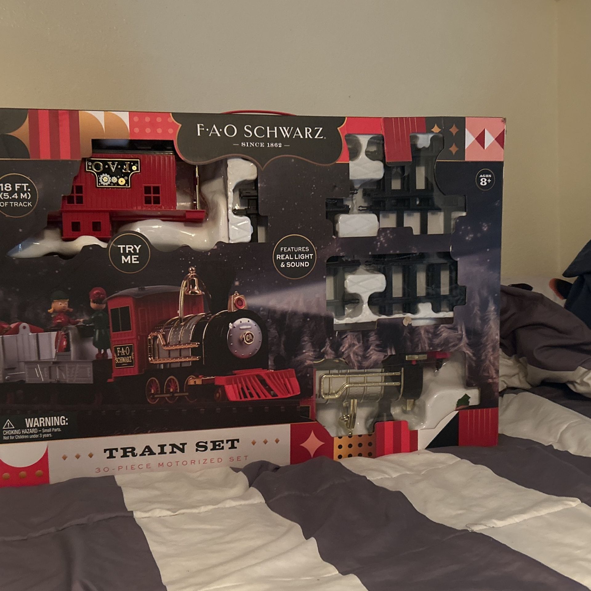 F.A.O Motorized Train Set