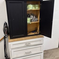 FREE cabinet 