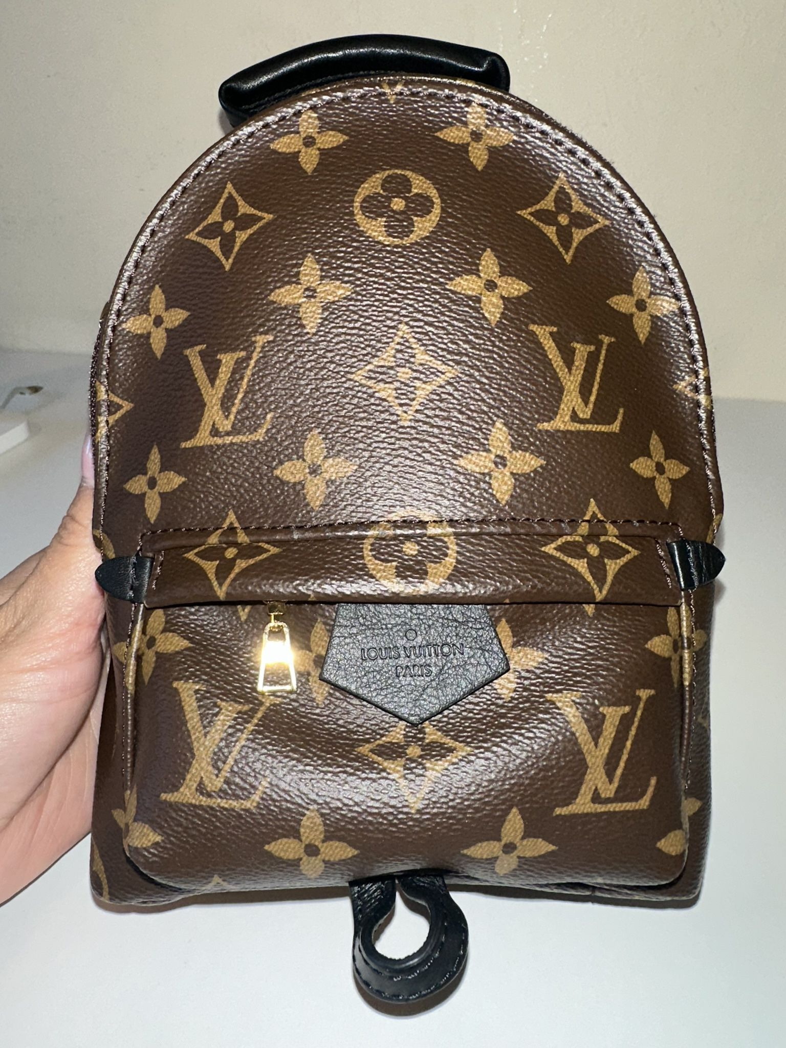 Louis Vuitton Palm Springs Mini
