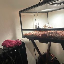 Snake For Sell