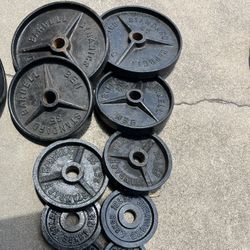 Olympic Weights 