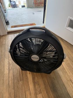 Fans