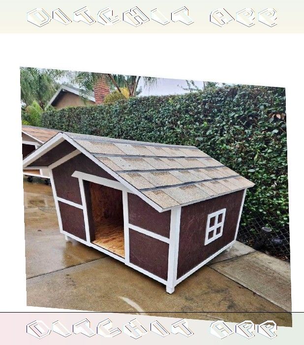 Outdoor Pet Houses - Reliable Homes for Cheerful Pets baby start
