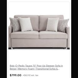Sleeper Sofa 