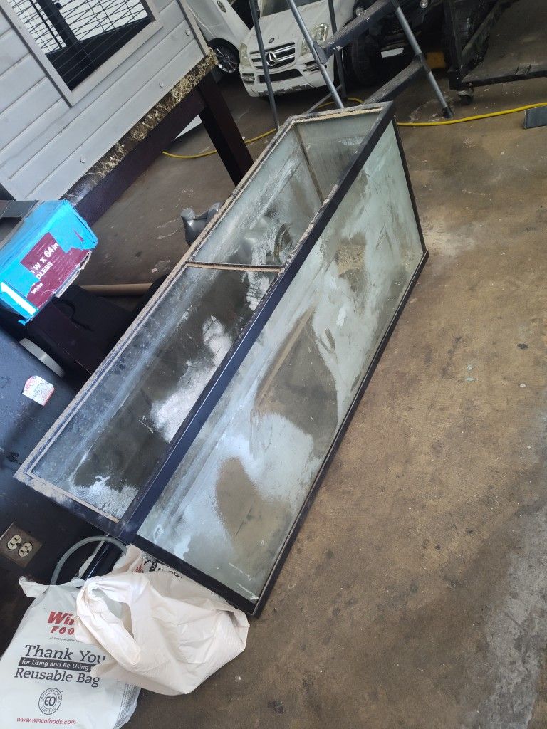 Fish Tank Terrarium