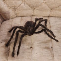 Halloween 🎃 Decorations 