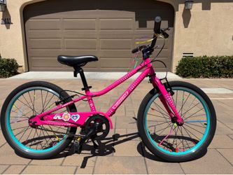 Guardian Bike 20 inch Small