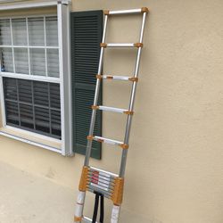 Type 1 Telescoping Extension Ladder 