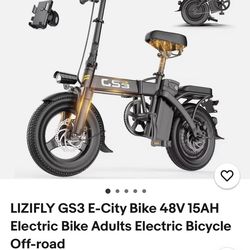 Electric bike