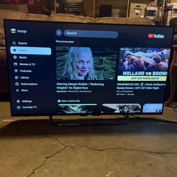 Sony 4K XBR49X830C 120Hz TV