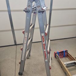 Little GIANT Ladder