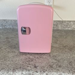 Mini Fridge Cool And Warm 