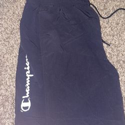 Champion And Nike Shorts
