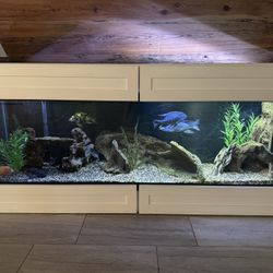 Fish Tank