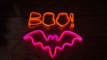Two light up LED Halloween lights $30 price is firm