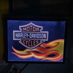 Harley Davidson Light
