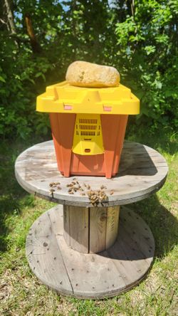 Bee Nucs