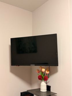 Insignia brand Smart TV