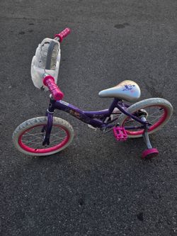 Princess Bike