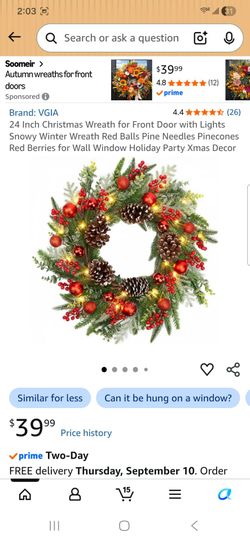 24 Inch Christmas Wreath for Front Door with Lights Snowy Winter Wreath Red Balls Pine Needles Pinecones Red Berries for Wall Window Holiday Party Xma