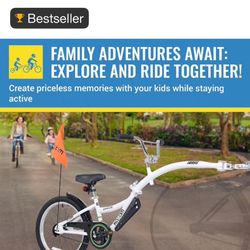 Child Co Pilot Bike Attachment