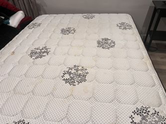 Queen Mattress