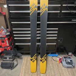 Salomon skis