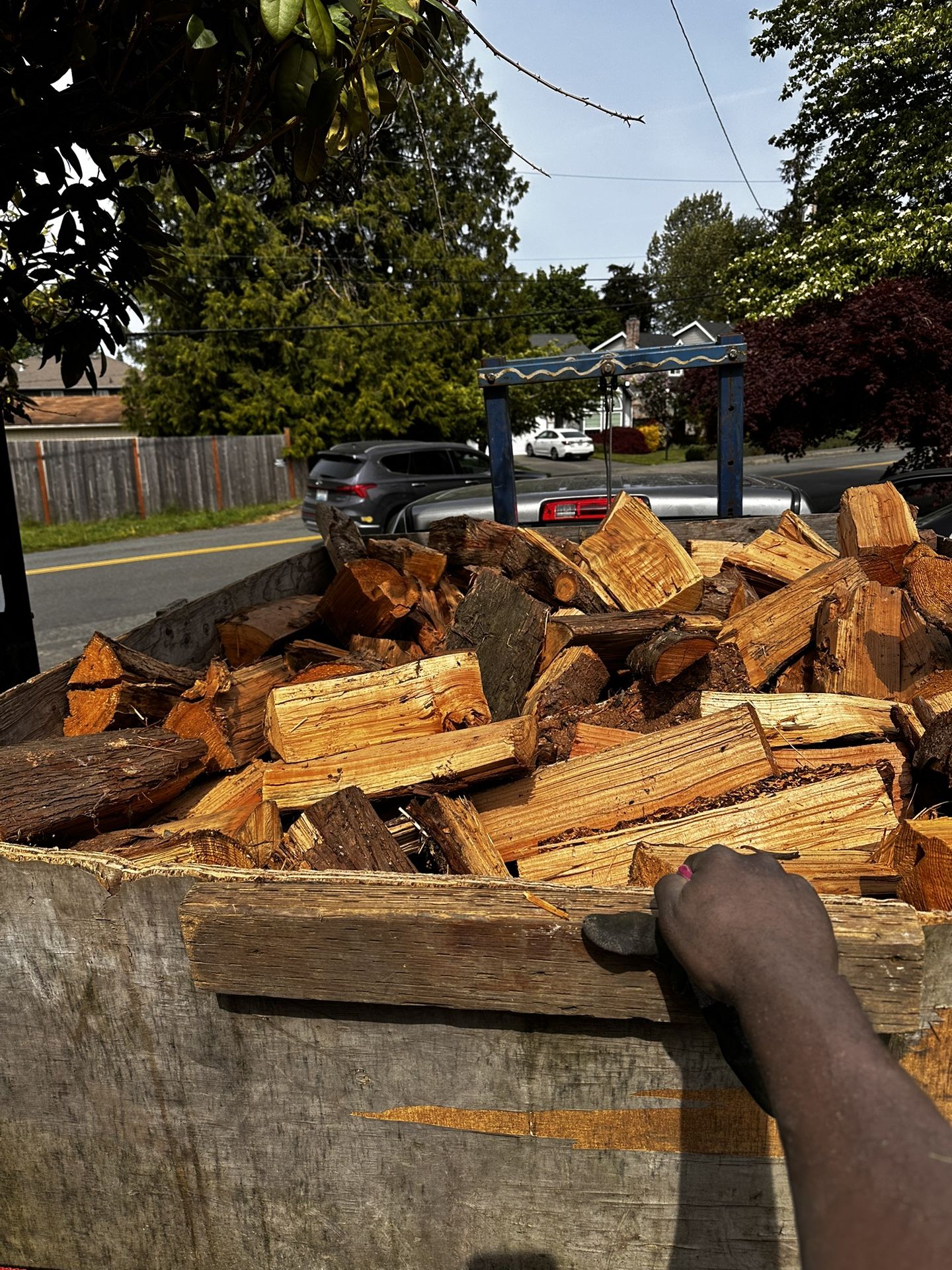 Firewood