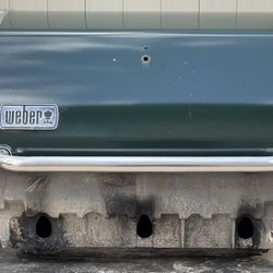 Weber Genesis Hood Bbq