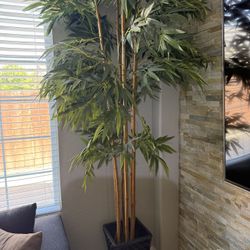 Fake Plant 8ft