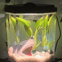 Fish Tank With Everything Included