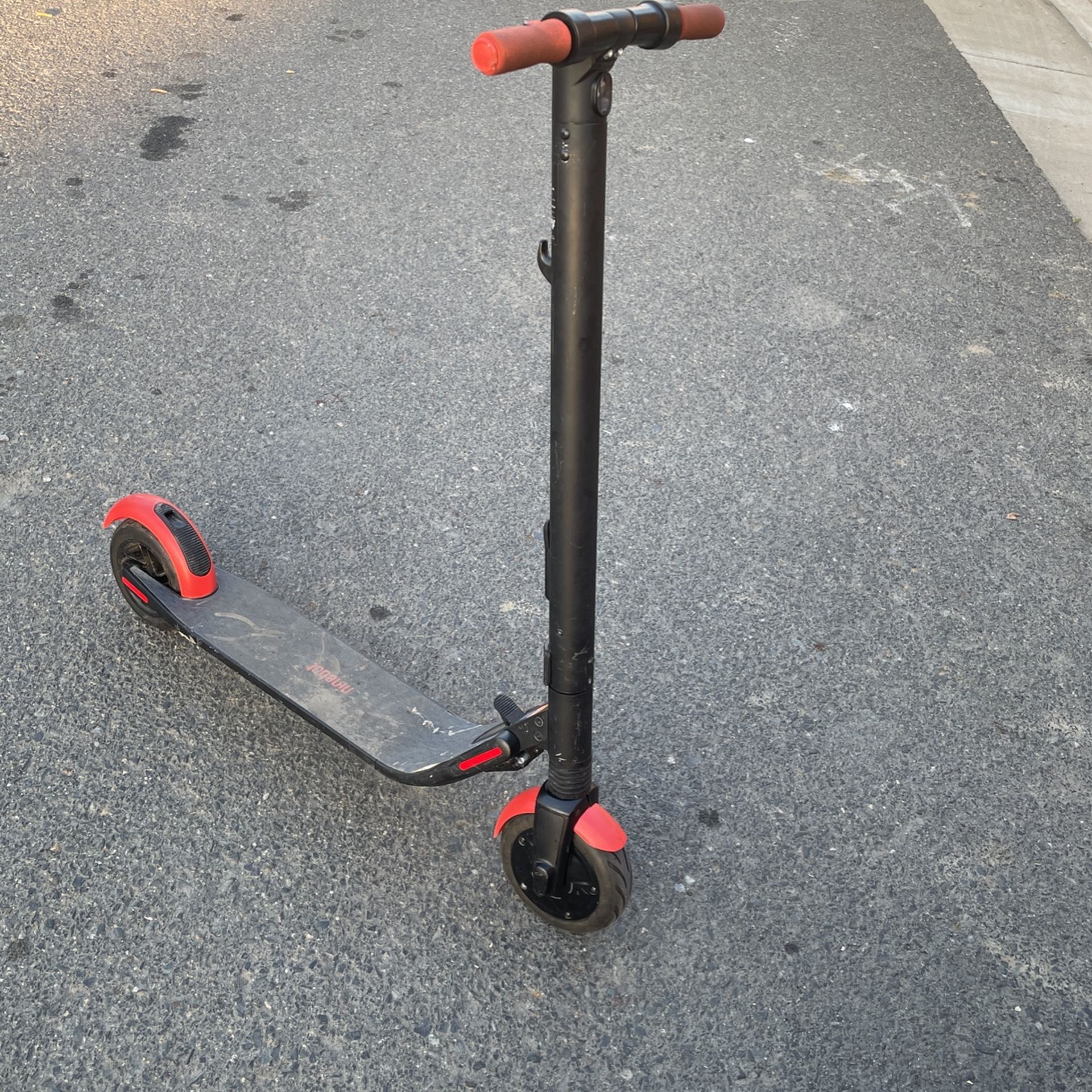 Electric Scooter