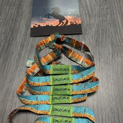 2025 Stagecoach Tickets