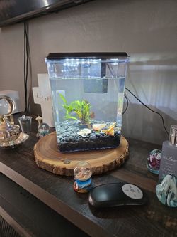 Fish Tank