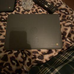 Hp Chromebook