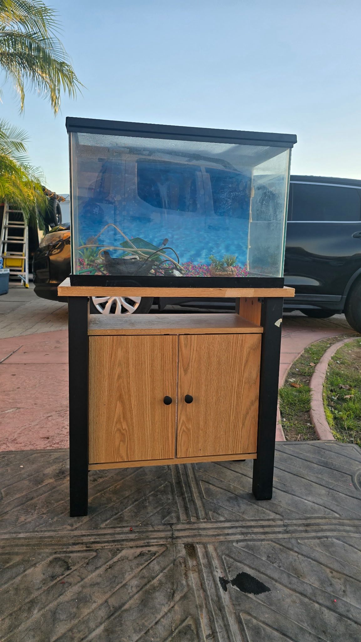 Pecera En Buenas Condiciones A Un Buen Precio