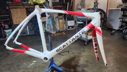 Scattante SL10 Carbon Fiber 54cm road bike