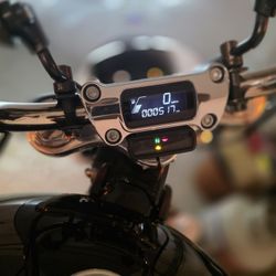 2022 Harley Davidson SOFTAIL STANDARD