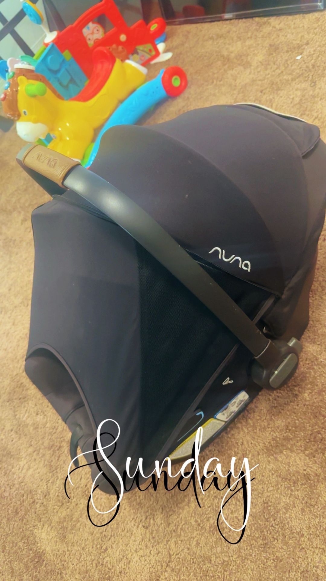 Nuna Car Seat 
