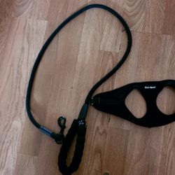 Small Leash With Harness